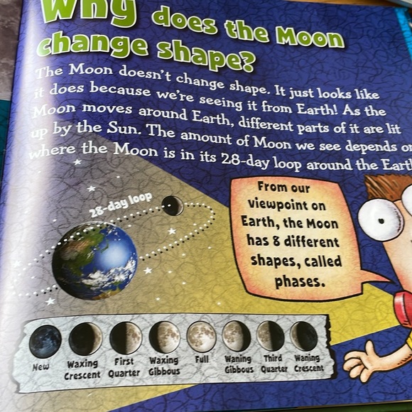 Fly Guy Presents Why Fly Guy? A Big Question & Answer Book by Tedd Arnold - Picture 7 of 10